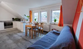 Skiflyer vacation home - Image 4