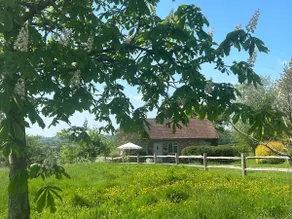 The Piggery, a perfect country hideaway - Image 2