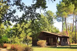 Chalet 6 – In the heart of the forest on the edge of the Ciron - Image 2