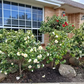 Romantic and quiet vacation home, hospitable host and hostess, welcome friends from all over the world. - Image 5