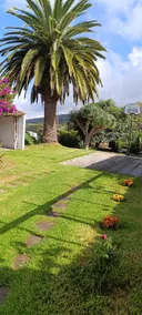 El Lagar de Piedra, a San Juan de la Rambla - Tenerife - Image 5