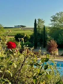 House with magnificent views of Château d'Yquem - Image 2