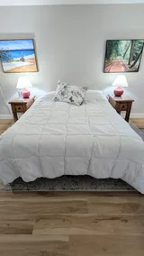 Nature's Window: Spacious, private view suite! - Image 4