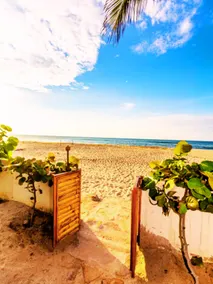 Oceanfront home for 6–8 | Pool + BBQ + view - Image 4