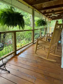 Pet friendly Cabin near Tail of the Dragon - Image 3