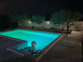 Holiday Home Dinko with pool - Image 3