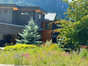 Treetops contemporary two bedroom private suite - Image 2