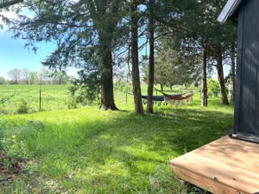 Lillian’s blackberry cabin in Goodhope - Image 5