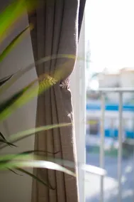 Marina del Sol apartment by Wyndham - Image 5