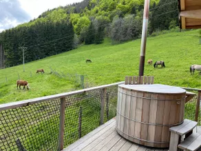 Unusual Cabin - Lynx Cabin - Image 3