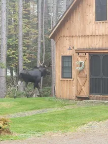 Perfect Getaway Cabin; Close to Sugarloaf - Image 2