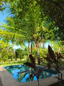 Bungalow 2 Exclusive with PV Pool / Feet in the Sand. - Image 3