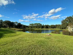 Ocala Equestrian Oasis w/Pool - Image 5