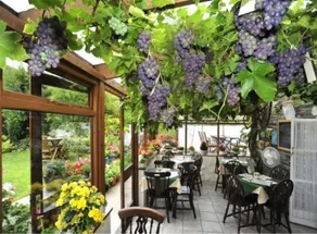 Apartment in lovely village - Image 2