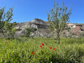 La Rosita rural accommodation - Image 2