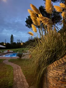 Villa Bovari – Casa Teddy - Image 4