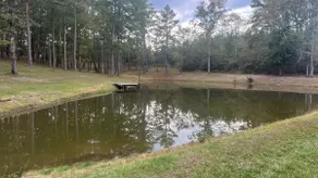Gaines’s Get Away - Image 5