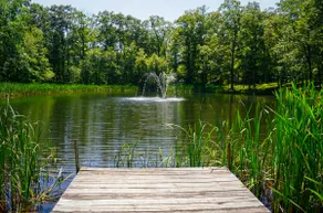 Luxury Cabin | Near Ricketts Glen Waterfalls - Image 4