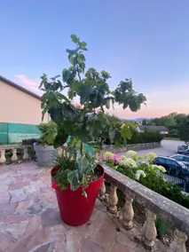 Entire place has 2 bedrooms - Image 5