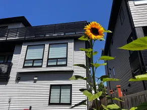 New, Spacious 2 Bedrooms suite in downtown ! - Image 4