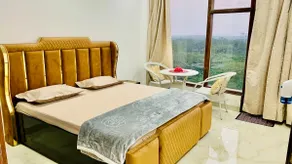 Forest Vistas: Luxury Vasant Kunj Gem - Image 4