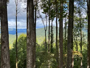 Walnut Mountain Escape - Wraparound Mountain Views - Image 2