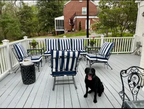 The Cottage in Druid Hills - Image 4