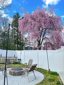 7 Mins drive to Yale, Large fenced yard - Image 3