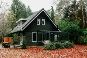 Forest house with sauna - Image 2