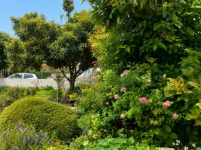 Pavlos Apartment - Leontari Stay with Garden View - Image 5