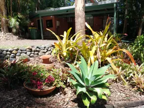 ALBA the Scottish Cottage Maleny Walk everywhere - Image 3