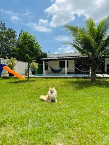 Morada do Campo - Image 3