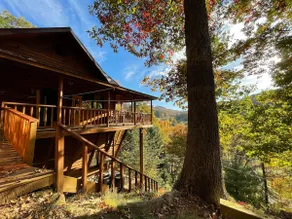 ~Rare Find~ Tree House Treasure - Image 4