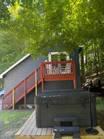 Leelanau Winter Wooded Hideaway + Hot Tub - Image 3