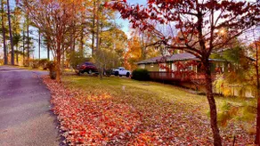 Enjoy nature near Kentucky Lake - Image 4
