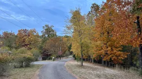 Enjoy nature near Kentucky Lake - Image 2