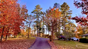 Enjoy nature near Kentucky Lake - Image 5