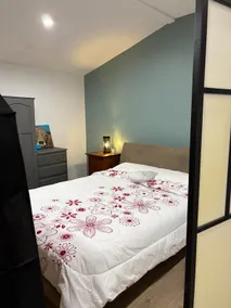 Studio apartment in Wanniassa. - Image 2