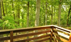 Serene Nashville Retreat · 2BR Home · Dec Special - Image 2
