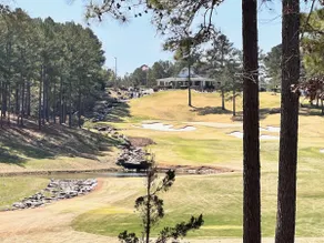 Hot Springs Village | Golf Views | Patio | BBQ - Image 3