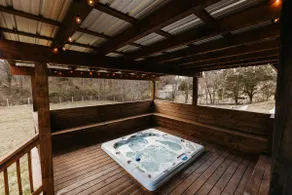 Dale Hollow Lake Cabin - Image 3