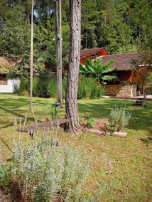 Nature Retreat • Pool & Fire Pit • 10 min to BC - Image 2