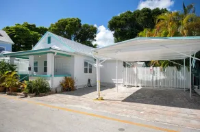 Downtown Paradise - Image 2