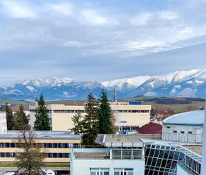 New, city center apartment | Tatra mountain views - Image 4
