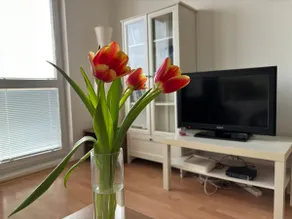 Cosy & bright apartment - Image 4