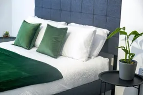 Beautiful Birmingham apartment - Image 2