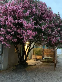 Studio between Cévennes & City: Comfort & Serenity - Image 2