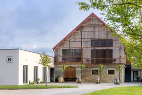 Wellness & Nature Escape- App Vina Gora (2+2) - Image 3