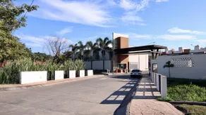Los Lirios 54 - Image 2