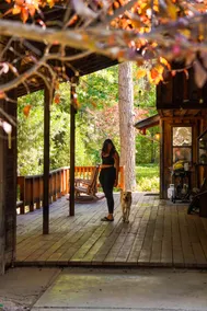 Black Bear Lodge | Secluded | Hot Tub | 3+ acres - Image 3